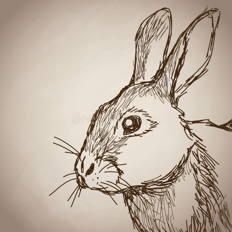 Rabbit Portrait Forest Hand Drawing Vintage Stock Vector - Illustration ...
