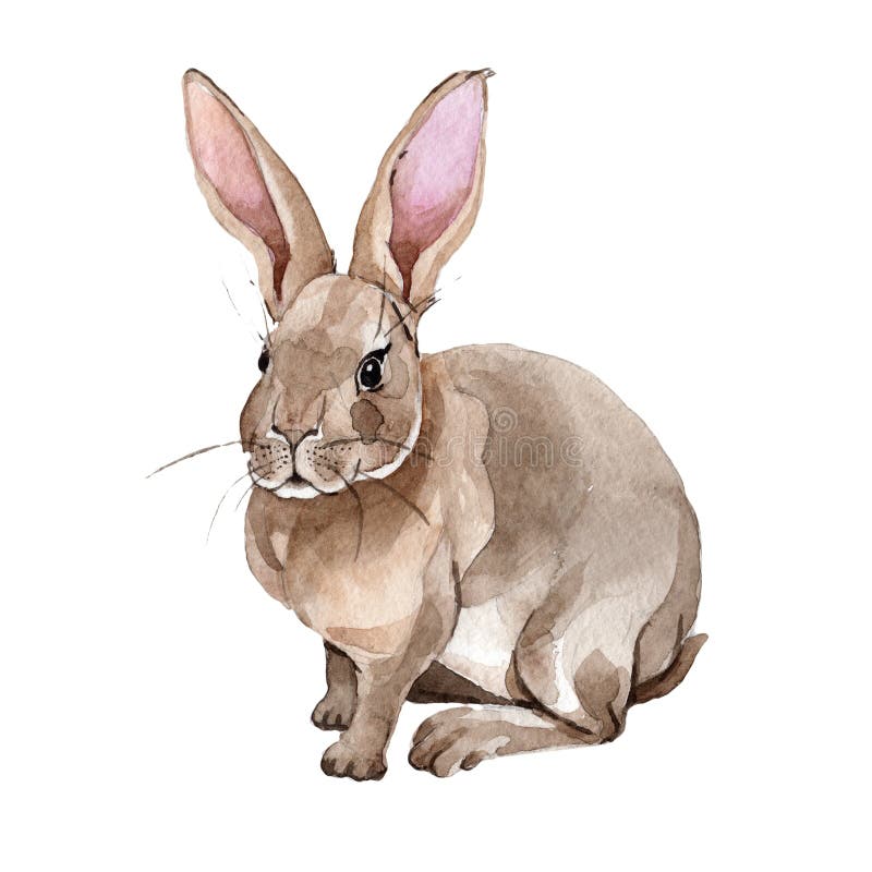 Rabbit Wild Animal in a Watercolor Style Isolated. Stock Illustration -  Illustration of fluffy, wildlife: 98745426