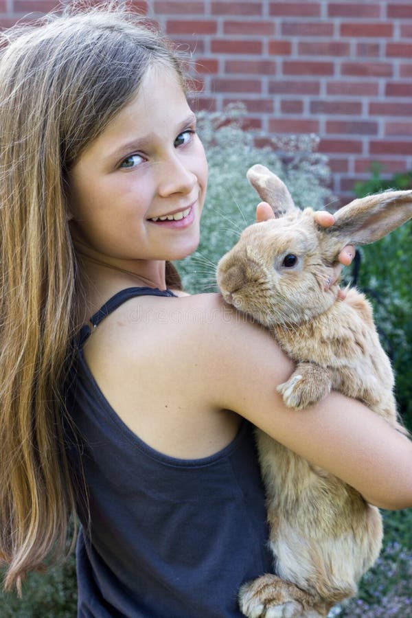 Rabbit stock photo. Image of hold, animal, summer, white - 43489826