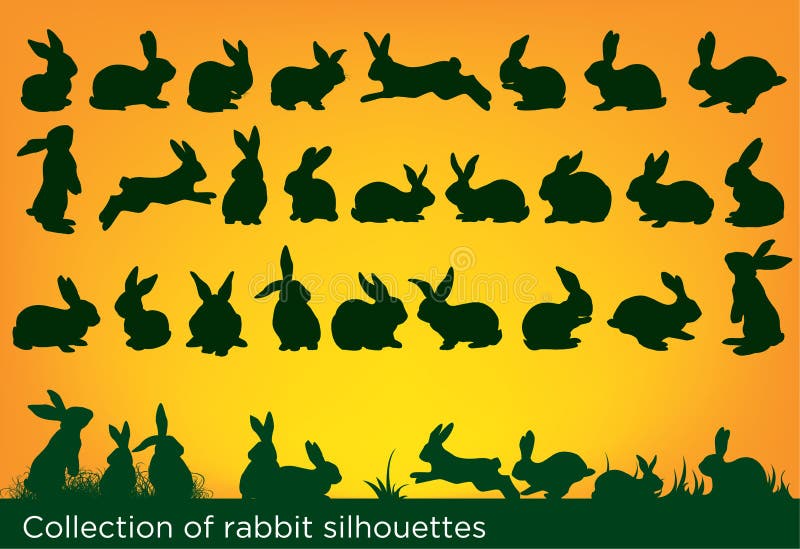 Rabbits collection