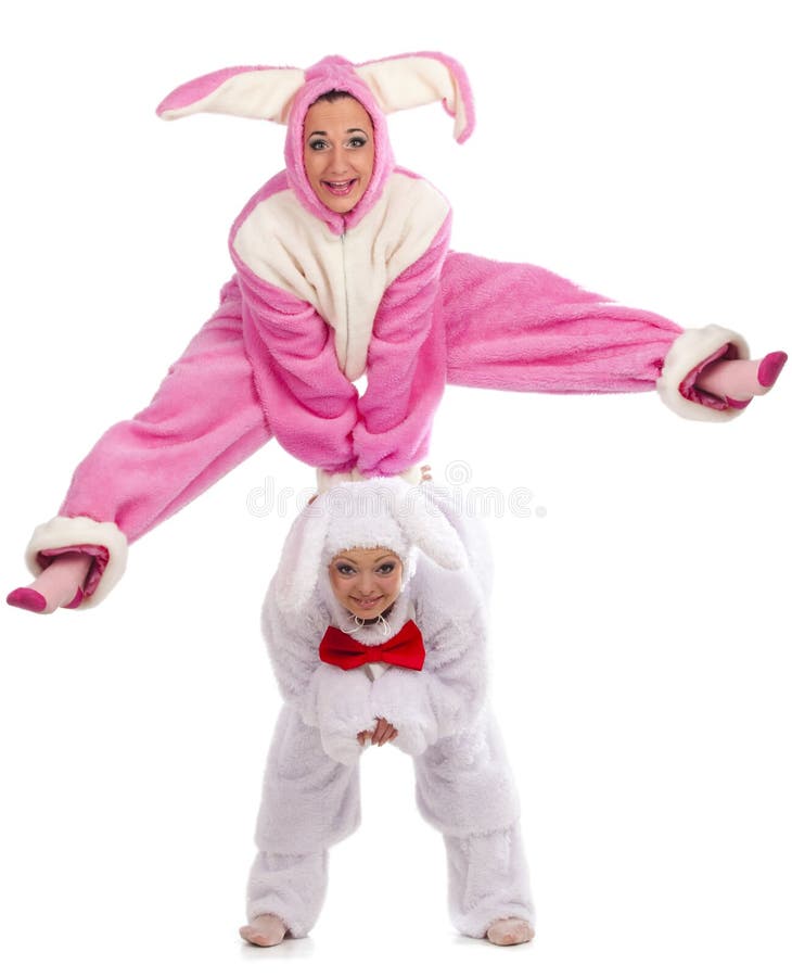 Rabbits having fun