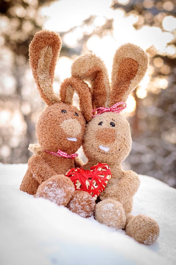 Couples of Rabbits Mating on Green Grass Stock Image - Image of wild