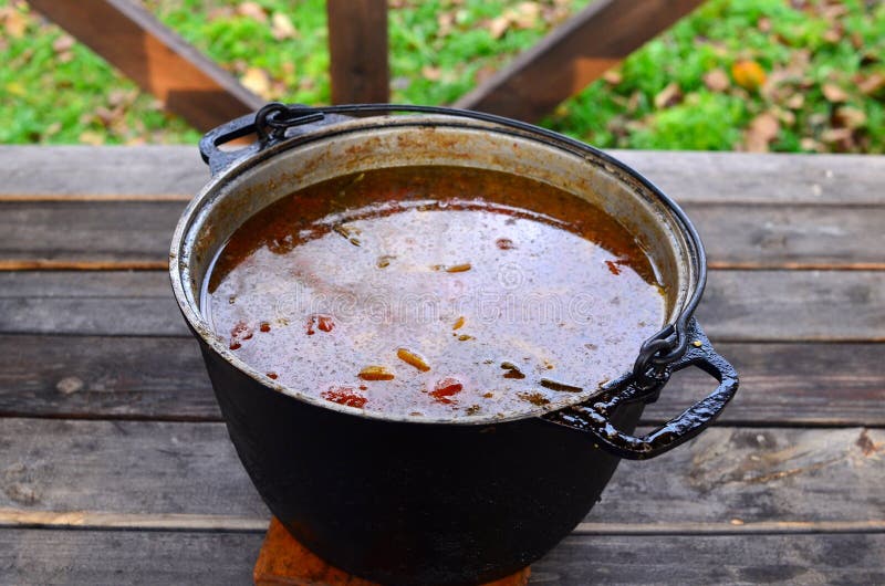 Rabo de toro or oxtail stew soup in cooking pot with chili pepper, garlic and thyme stock photography Rabo de toro or oxtail stew soup in cooking pot with chili pepper, garlic and thyme stock photography