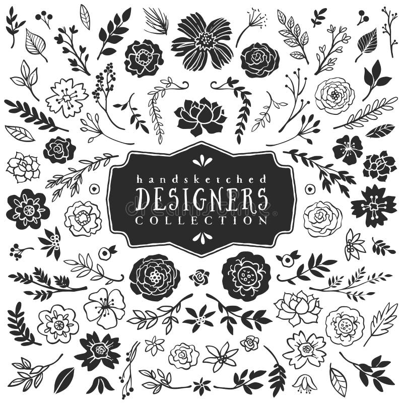 Raccolta decorativa d'annata dei fiori e delle piante Disegnato a mano illustrazione di stock