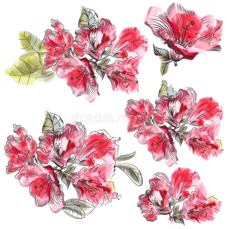 Raccolta dei fiori rosa dell'azalea in acquerello illustrazione vettoriale Raccolta dei fiori rosa dell'azalea in acquerello illustrazione vettoriale