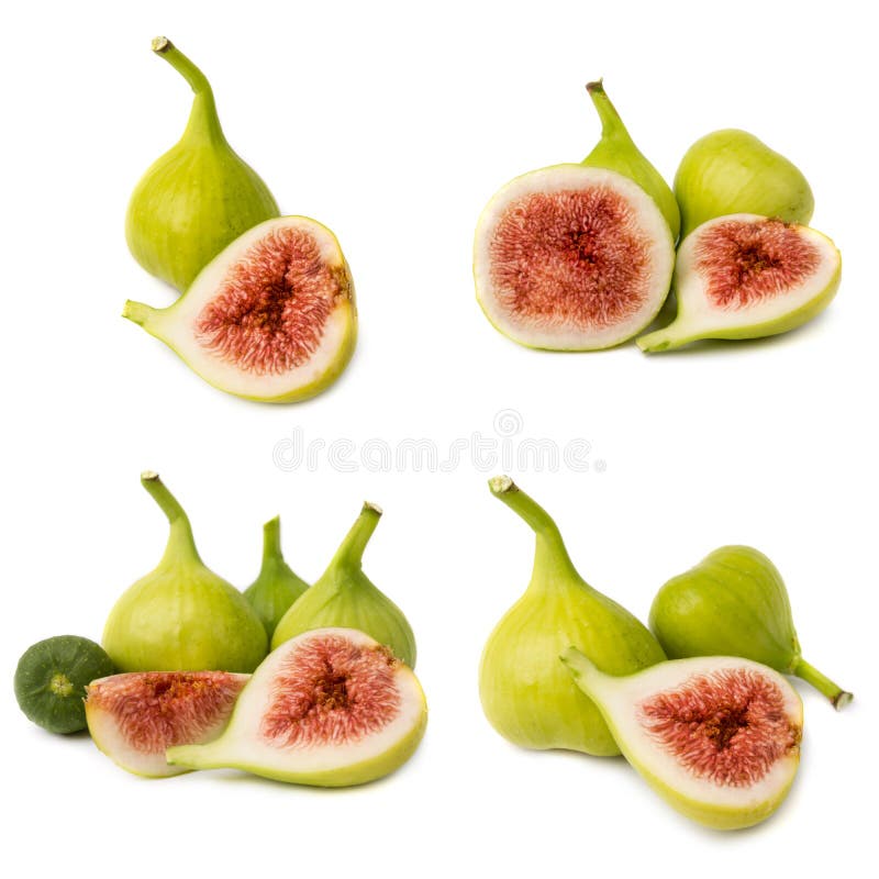 Raccolta dei frutti freschi del fico isolata su fondo bianco fotografia stock libera da diritti Raccolta dei frutti freschi del fico isolata su fondo bianco fotografia stock libera da diritti