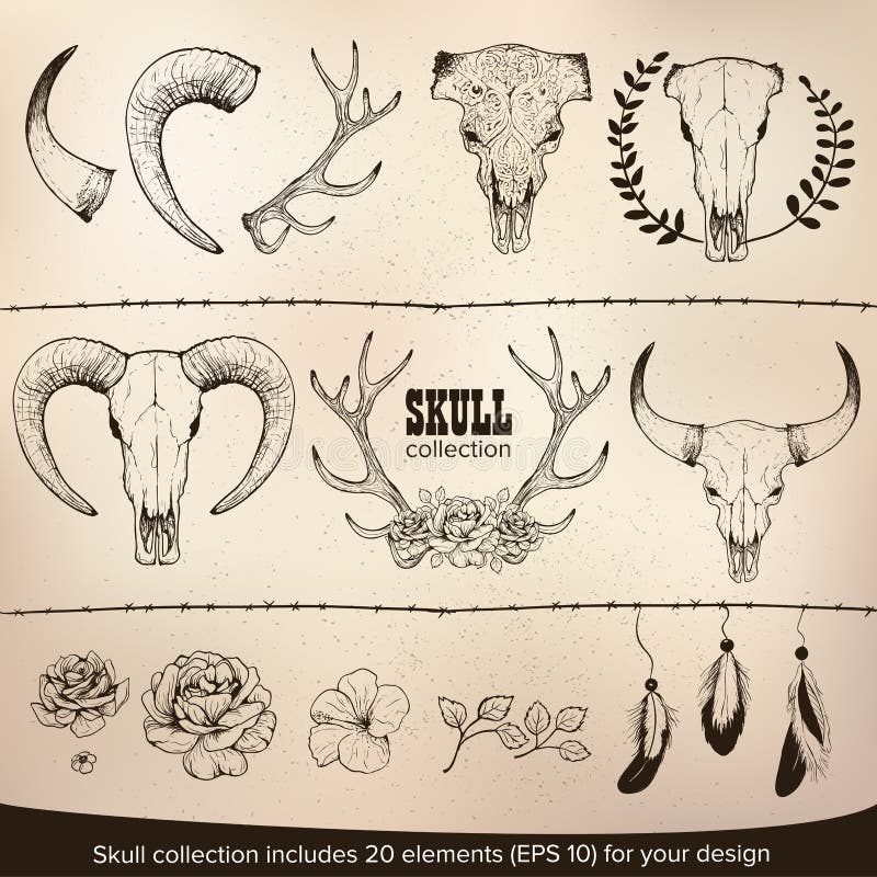 Cravatta Bolo In Pelle Con Teschio Di Mucca - Regolabile 39 Pollici, Stile Cowboy