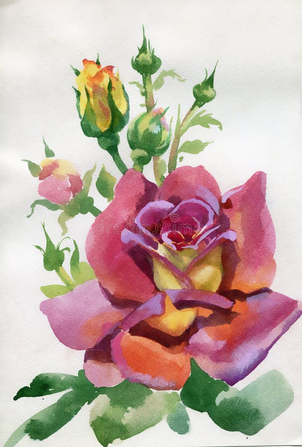 Raccolta del fiore dell'acquerello: Rosa illustrazione vettoriale Raccolta del fiore dell'acquerello: Rosa illustrazione vettoriale