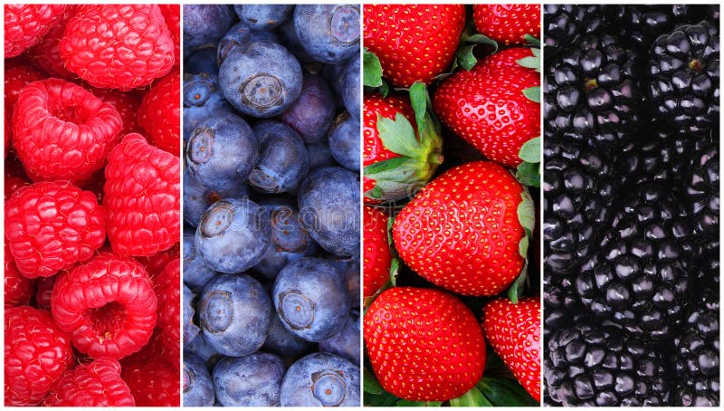 Raccolta del fondo delle bacche. Lampone, mirtillo, Blackberry fotografia stock libera da diritti Raccolta del fondo delle bacche. Lampone, mirtillo, Blackberry fotografia stock libera da diritti