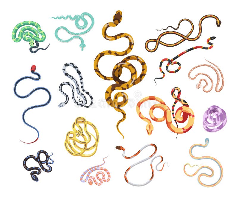 Raccolta di bei serpenti di vari tipo, dimensione, modello della pelle e colore isolati su fondo bianco Pacco di royalty illustrazione gratis Raccolta di bei serpenti di vari tipo, dimensione, modello della pelle e colore isolati su fondo bianco Pacco di royalty illustrazione gratis