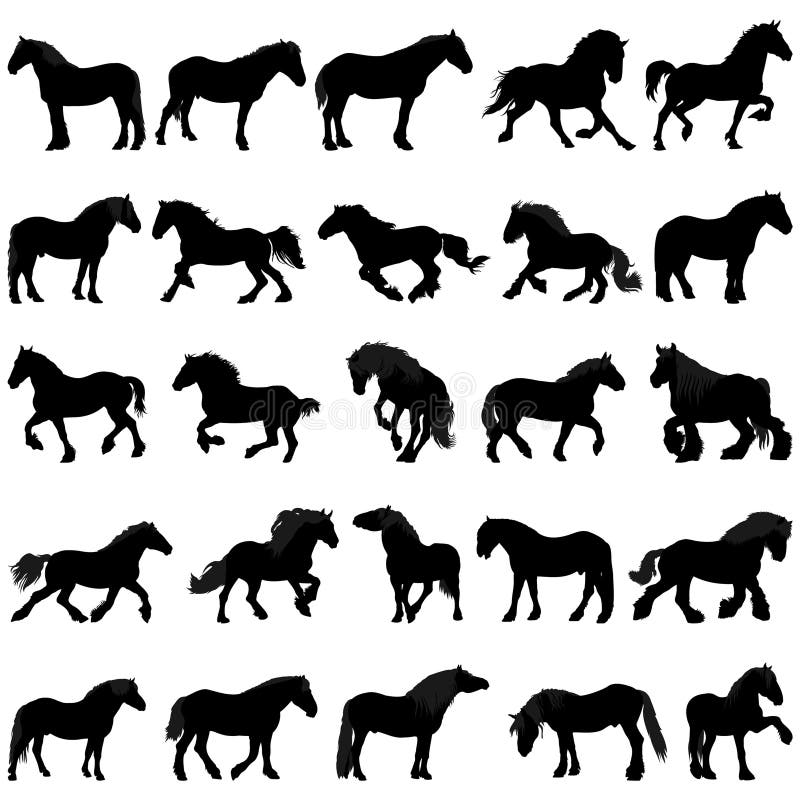 Collection of draft horses silhouettes, horse breeding . Vector illustration. Collection of draft horses silhouettes, horse breeding . Vector illustration.