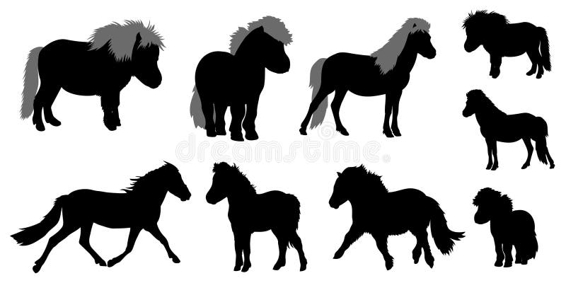 Collection of ponies silhouettes, horse breeding . Vector illustration. Collection of ponies silhouettes, horse breeding . Vector illustration.