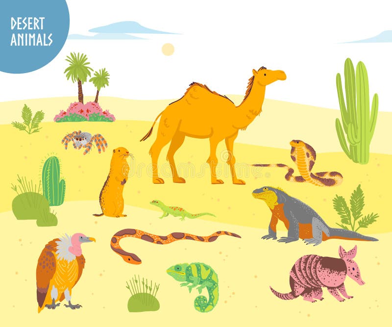 Raccolta di vettore dell'animale disegnato a mano piano del deserto, rettili, insetti: cammello, serpente, lucertola isolata su f illustrazione vettoriale Raccolta di vettore dell'animale disegnato a mano piano del deserto, rettili, insetti: cammello, serpente, lucertola isolata su f illustrazione vettoriale