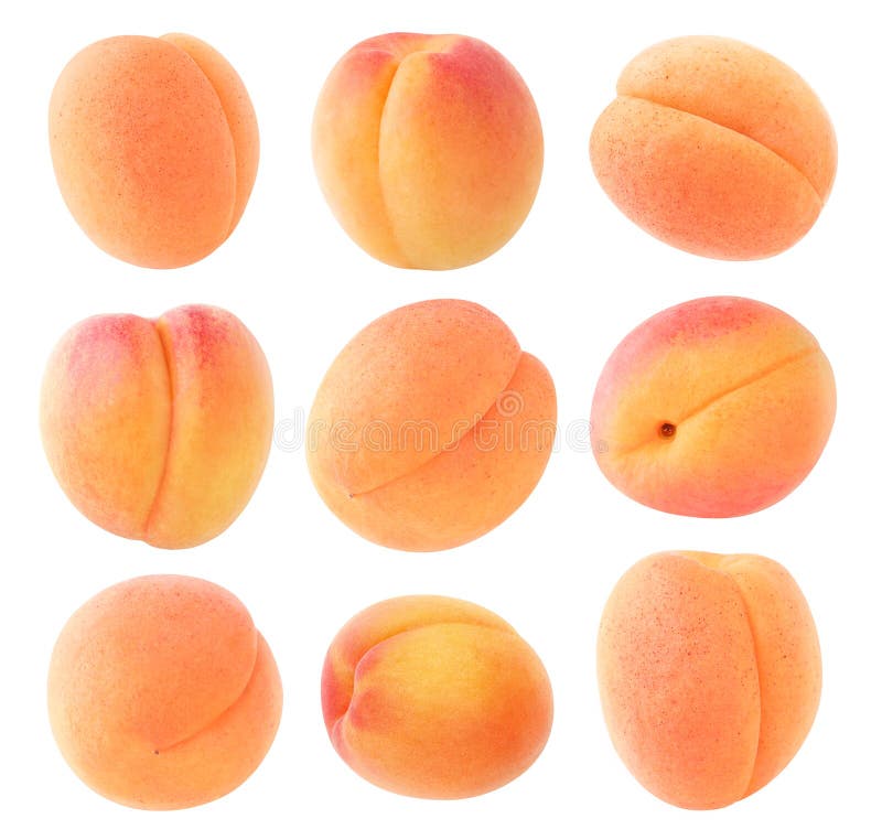 Raccolta isolata delle albicocche fotografia stock libera da diritti Raccolta isolata delle albicocche fotografia stock libera da diritti