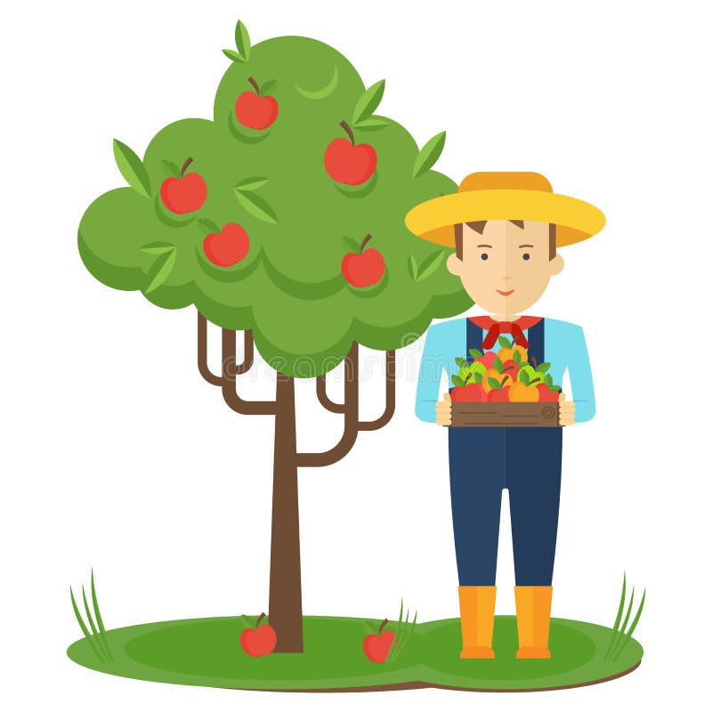 Raccolto di Apple Uomo dell'agricoltore nel giardino con le scatole delle mele in sue mani royalty illustrazione gratis Raccolto di Apple Uomo dell'agricoltore nel giardino con le scatole delle mele in sue mani royalty illustrazione gratis
