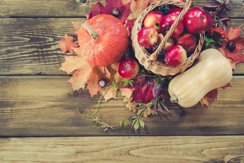 Raccolto di autunno, zucca, merce nel carrello delle mele, foglie di autunno variopinte sul bordo di legno Natura morta di caduta fotografia stock libera da diritti