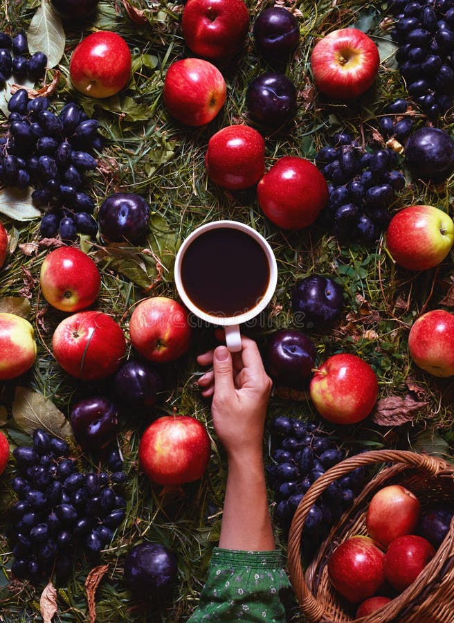 Raccolto di concetto a settembre Composizione in autunno con caffè, mele, prugne, uva Umore accogliente, comodità, tempo di cadut immagini stock