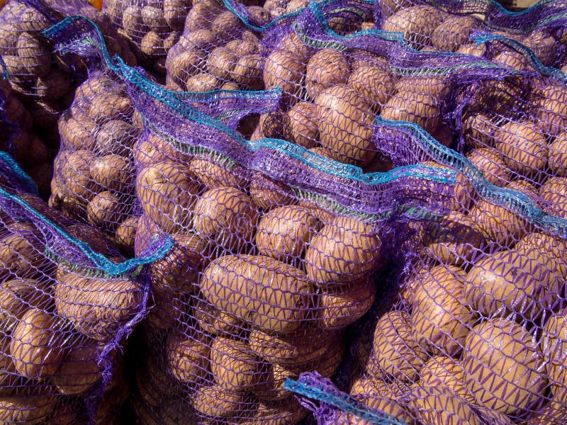 Raccolto fresco della patata imballato nelle griglie fotografie stock libere da diritti Raccolto fresco della patata imballato nelle griglie fotografie stock libere da diritti