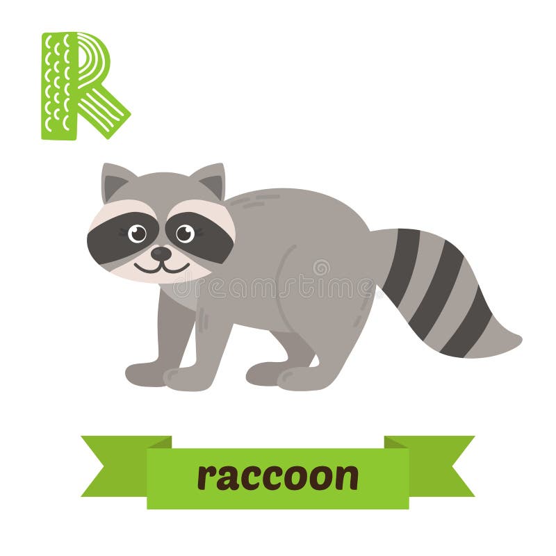 Raccoon. R Letter. Cute Children Animal Alphabet in Vector Stock Vector -  Illustration of language, hand: 73902337
