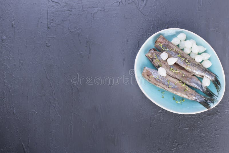 Raccordi di aringa con le cipolle su un piatto blu, una squisitezza olandese tradizionale Pasto delizioso dei frutti di mare Copi fotografie stock Raccordi di aringa con le cipolle su un piatto blu, una squisitezza olandese tradizionale Pasto delizioso dei frutti di mare Copi fotografie stock