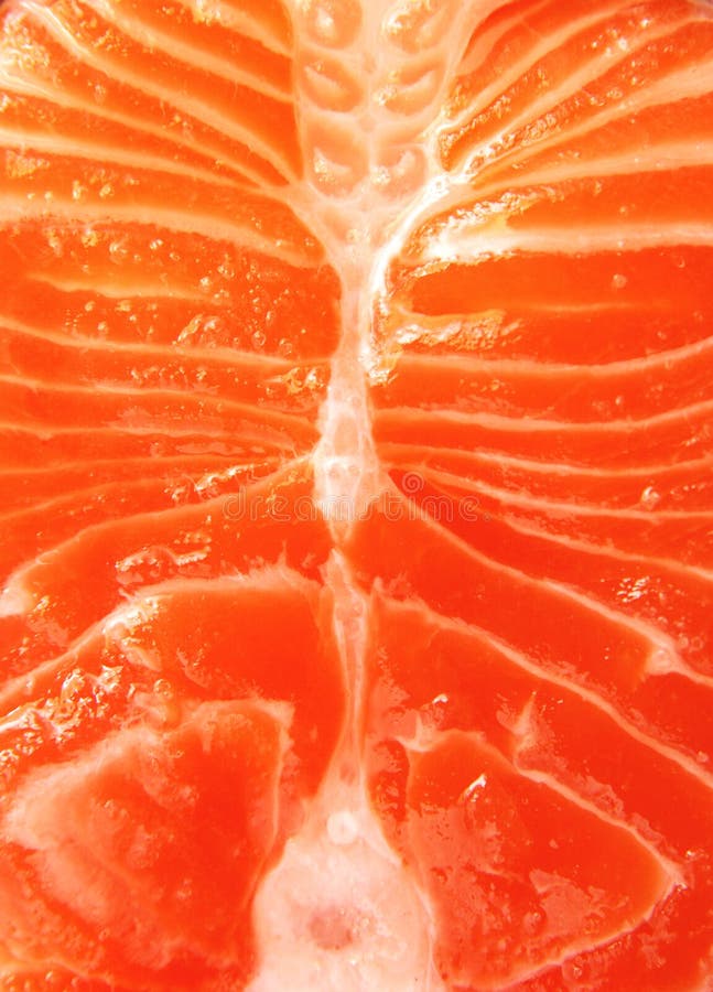 Raccordo di color salmone immagini stock libere da diritti Raccordo di color salmone immagini stock libere da diritti