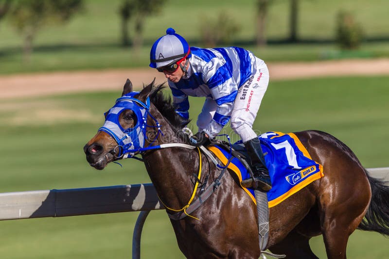 Race Horse Ejected Handler editorial photo. Image of track - 27883561