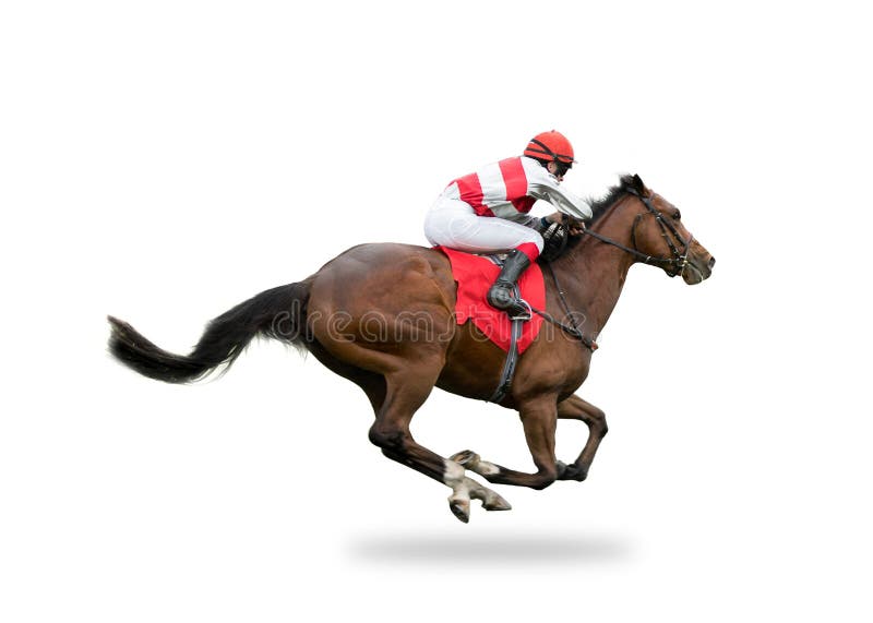 Race horse with jockey on the home straight, isolated on white