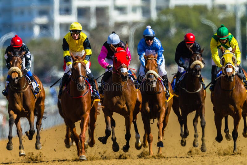 Race Horses Jockeys Track