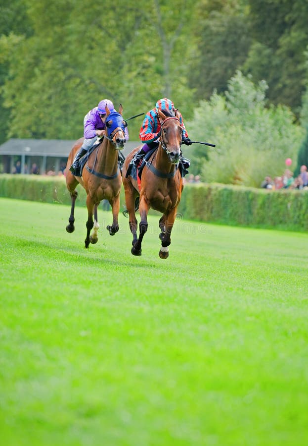 Several race horses with jockey in a horse race