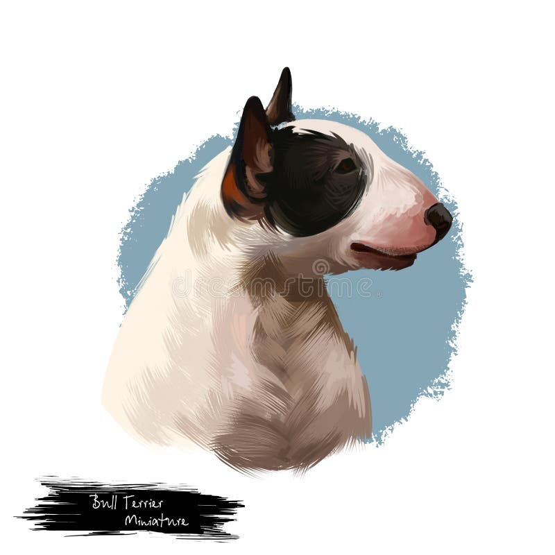 Race miniature de chien de bull-terrier d'isolement sur l'illustration numérique d'art de fond blanc Chien de tête de forme d'oeu illustration libre de droits Race miniature de chien de bull-terrier d'isolement sur l'illustration numérique d'art de fond blanc Chien de tête de forme d'oeu illustration libre de droits