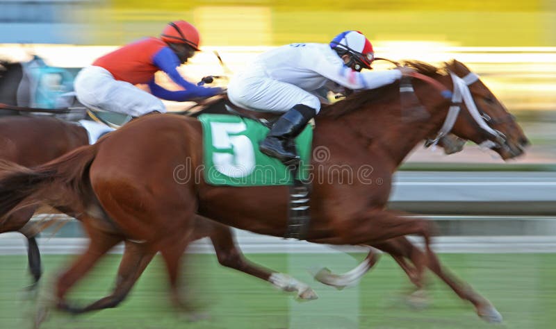 hape race to the finish