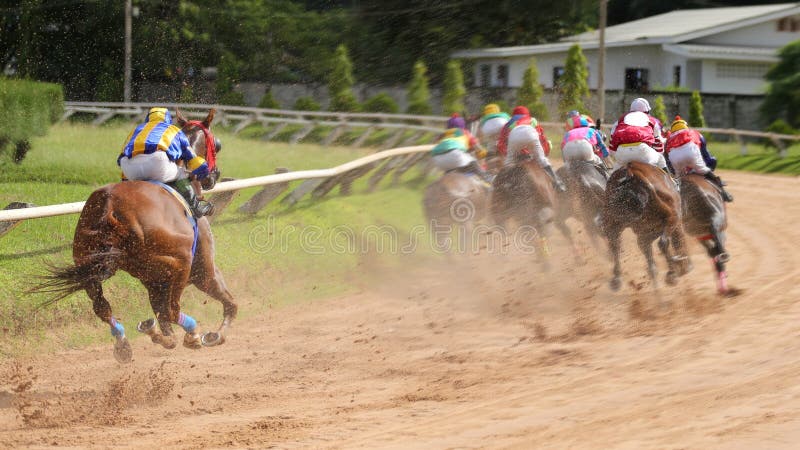 A racehorse and jockey in a horse race.