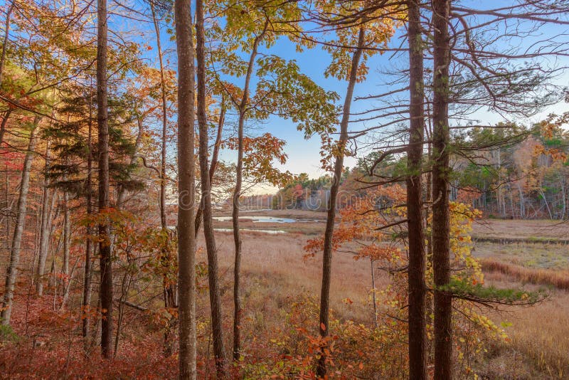 Rachel Carson National Wildlife Refugium Landschaft lizenzfreie stockfotos Rachel Carson National Wildlife Refugium Landschaft lizenzfreie stockfotos