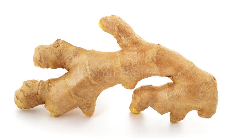 Racine de gingembre frais image stock