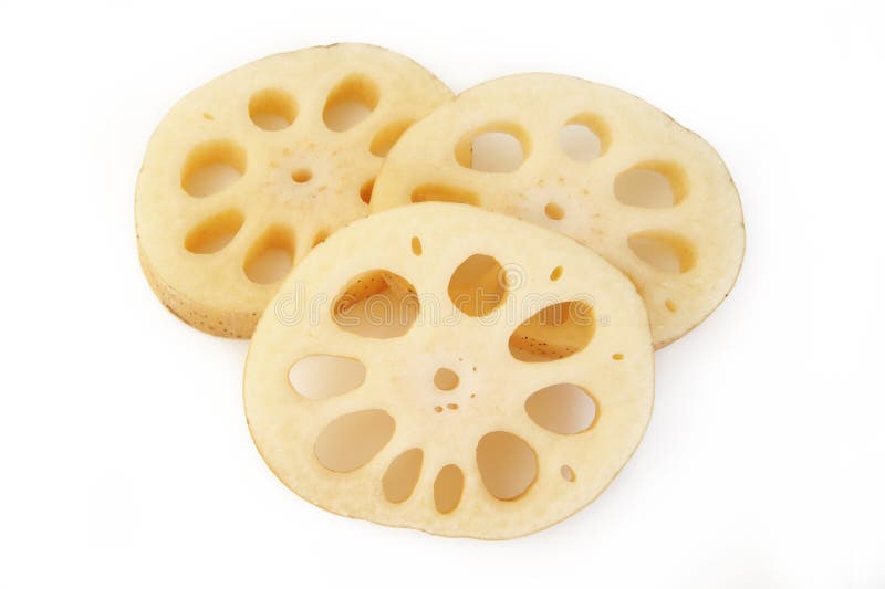 Racine De Lotus Sur Le Blanc Image Stock Image Du Coupure Blanc 115998755