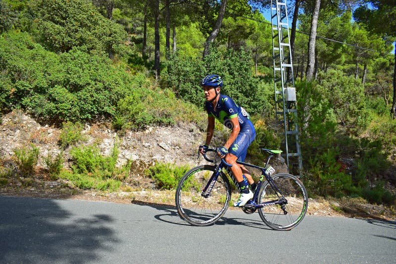 Racing Cyclist Standing Up On The Peddles royalty free stock photos Racing Cyclist Standing Up On The Peddles royalty free stock photos
