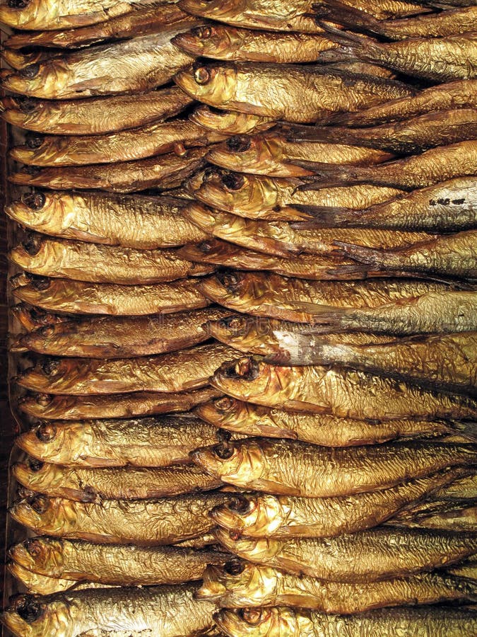 A Rack of Fresh Smoked Fish. Stock Image Image of flavor, animal