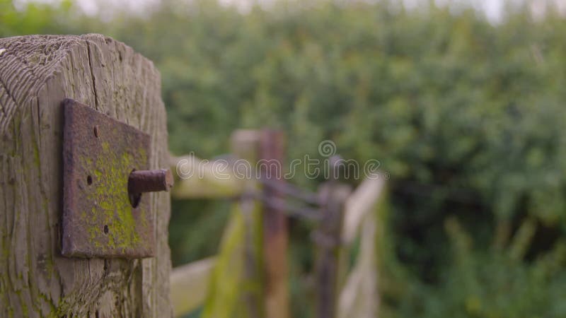 A locked wooden gate and fence with metal chains