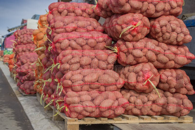 Rows and rows of potatoes in the bags at farmers market. Rows and rows of potatoes in the bags at farmers market