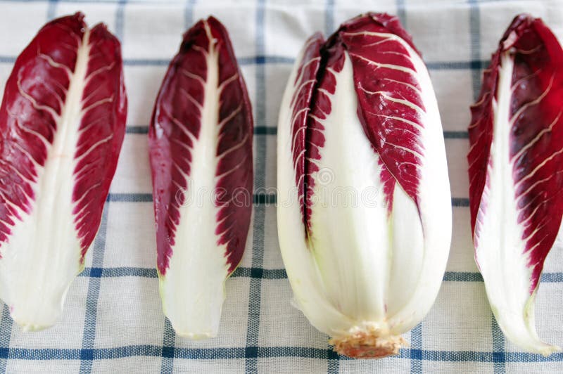 Radicchio