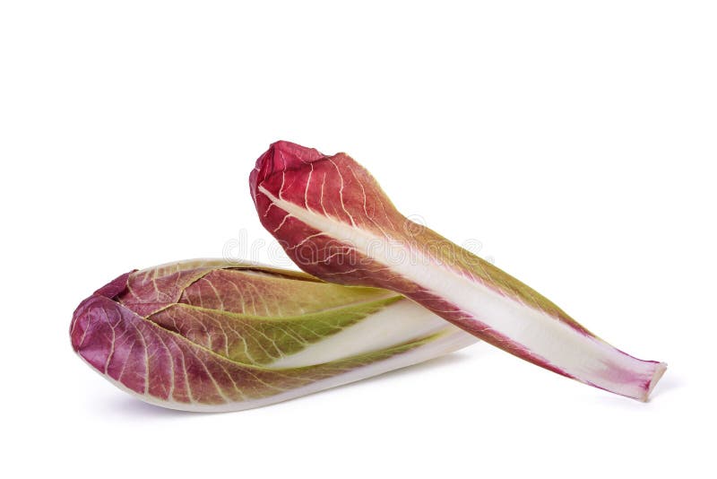 Radicchio που απομονώνεται κόκκινο στοκ φωτογραφία Radicchio που απομονώνεται κόκκινο στοκ φωτογραφία