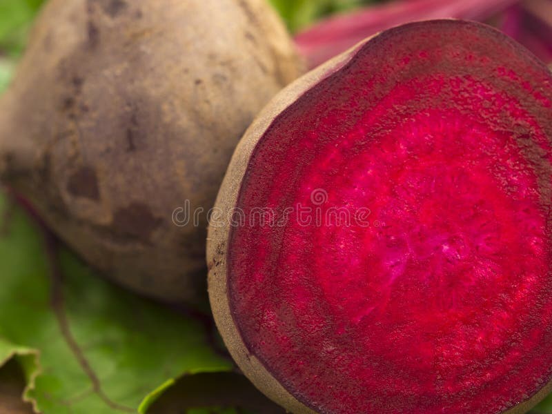 Illustrazione Vettoriale Della Radice Di Barbabietola Disegnata A Mano Con Stile Anatomico Surrealista Bianco E Nero Radici Image293891211 - Foto 14