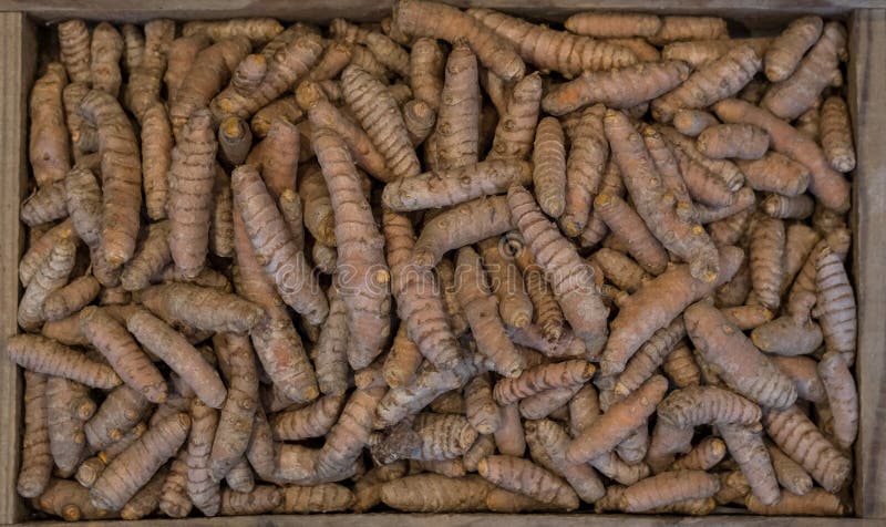 Radici di curcuma in una scatola di legno, fotografata da sopra La curcuma è una spezia di cottura ed ha varie proprietà medicina immagine stock libera da diritti Radici di curcuma in una scatola di legno, fotografata da sopra La curcuma è una spezia di cottura ed ha varie proprietà medicina immagine stock libera da diritti