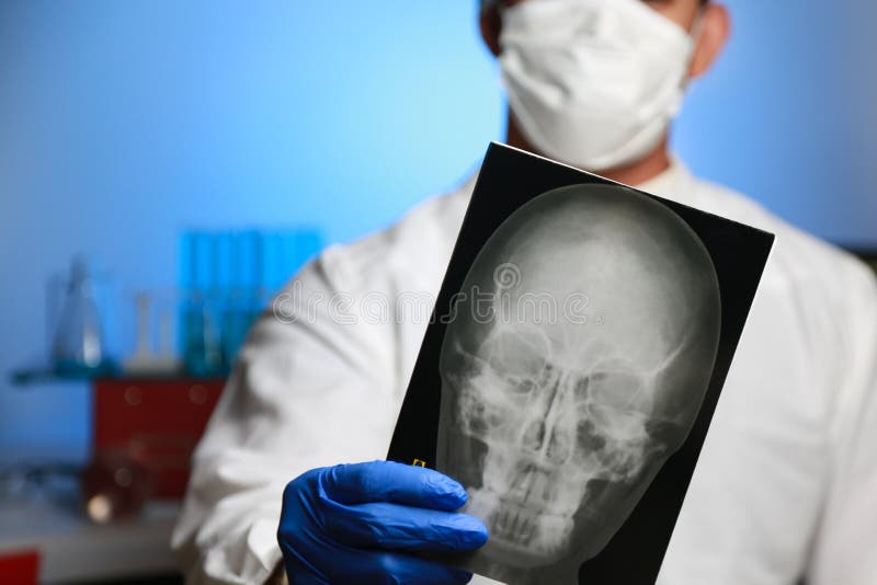 Radiology stock image. Image of young, analyzing, examining 43055041