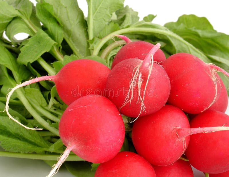 Radis images libres de droits
