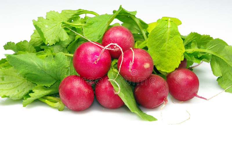 Radis frais photo libre de droits