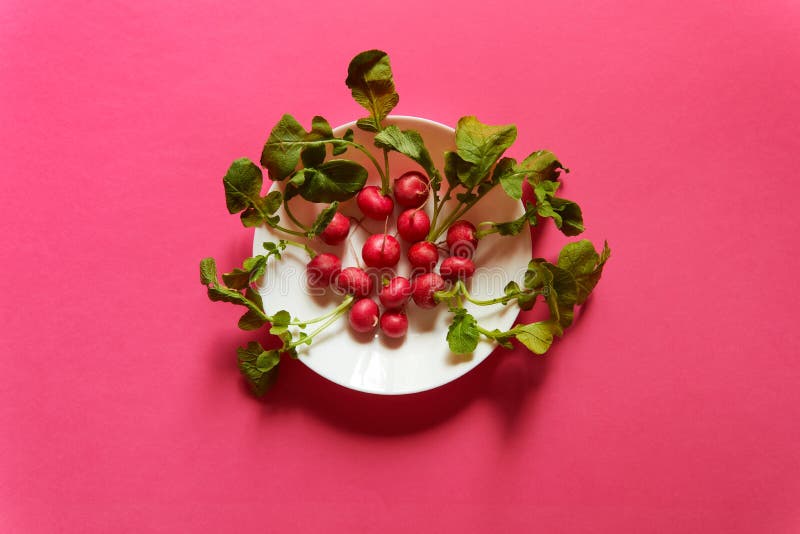 Radis groupés dans un plat blanc vu d'en haut Fond plat de rose de configuration, studio