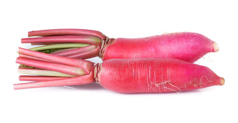 Radis rouge d'isolement sur le blanc photos stock Radis rouge d'isolement sur le blanc photos stock