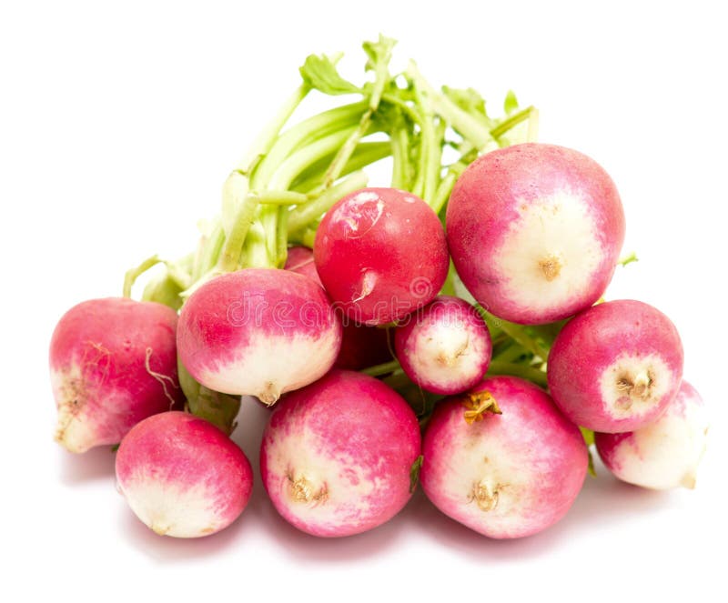 Radis image libre de droits