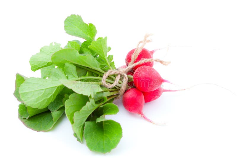 Radish